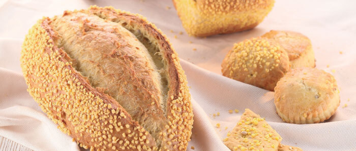 IREKS Corn Bread Mix
